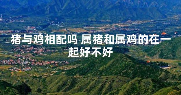猪与鸡相配吗 属猪和属鸡的在一起好不好